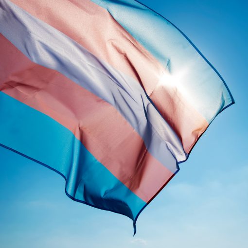 bandera Trans